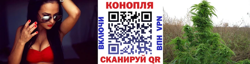 Купить наркотики сайты Звенигово KRAKEN маркетплейс  СК  Конопля  Cocaine  АМФ  Галлюциногенные грибы 