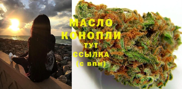 шишки Ельня